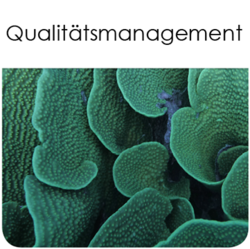 ecspand Qualitätsmanagement