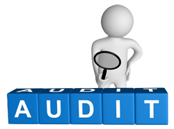 Auditmanagement